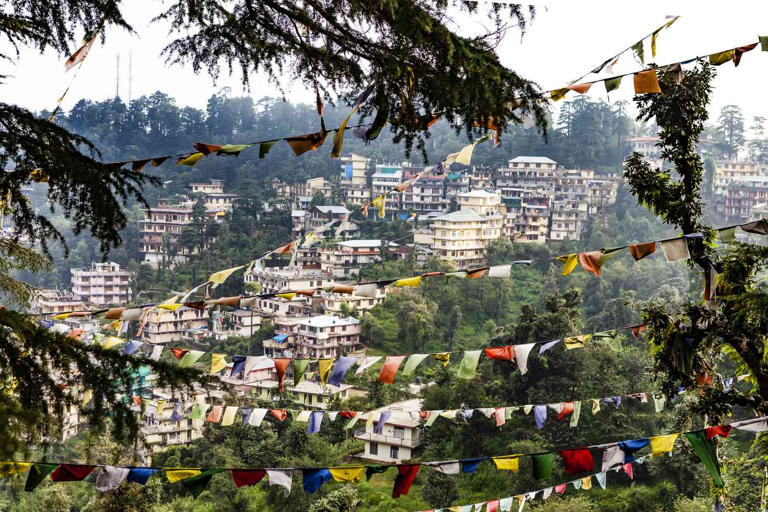 dharamsala-1134331246-cfdf3711c9f543ca9b758a25c3386b6e