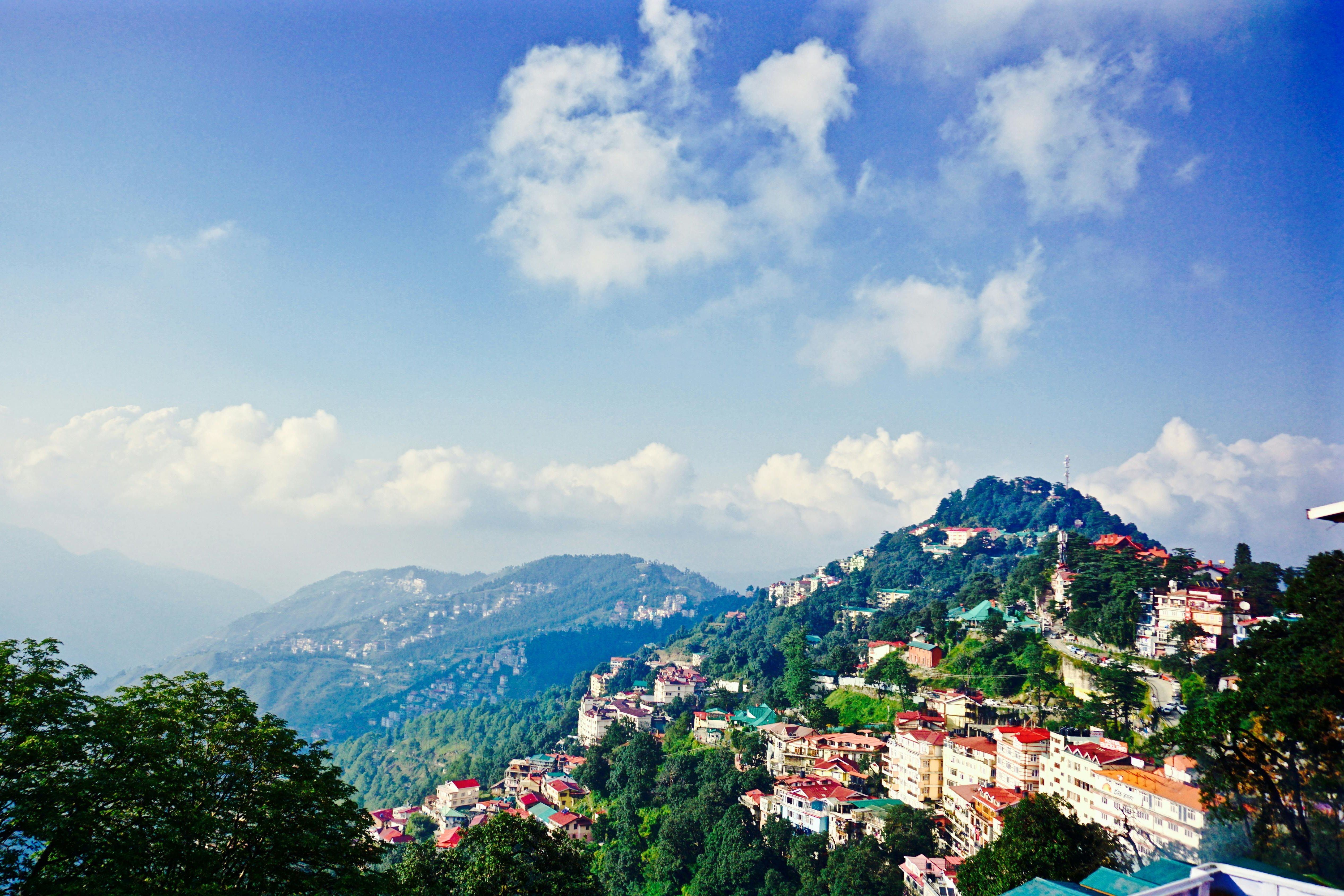 houses-pine-trees-on-a-hill-top-in-shimla_6zacfD5M_ZHPjvC